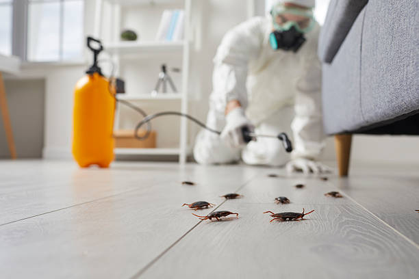 Commercial Rodent Management in Taylor Mill